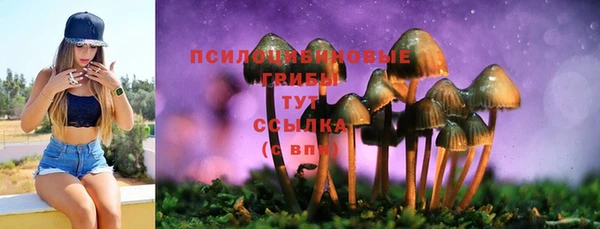 не бодяженный Баксан