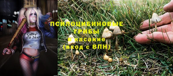 дживик Балахна